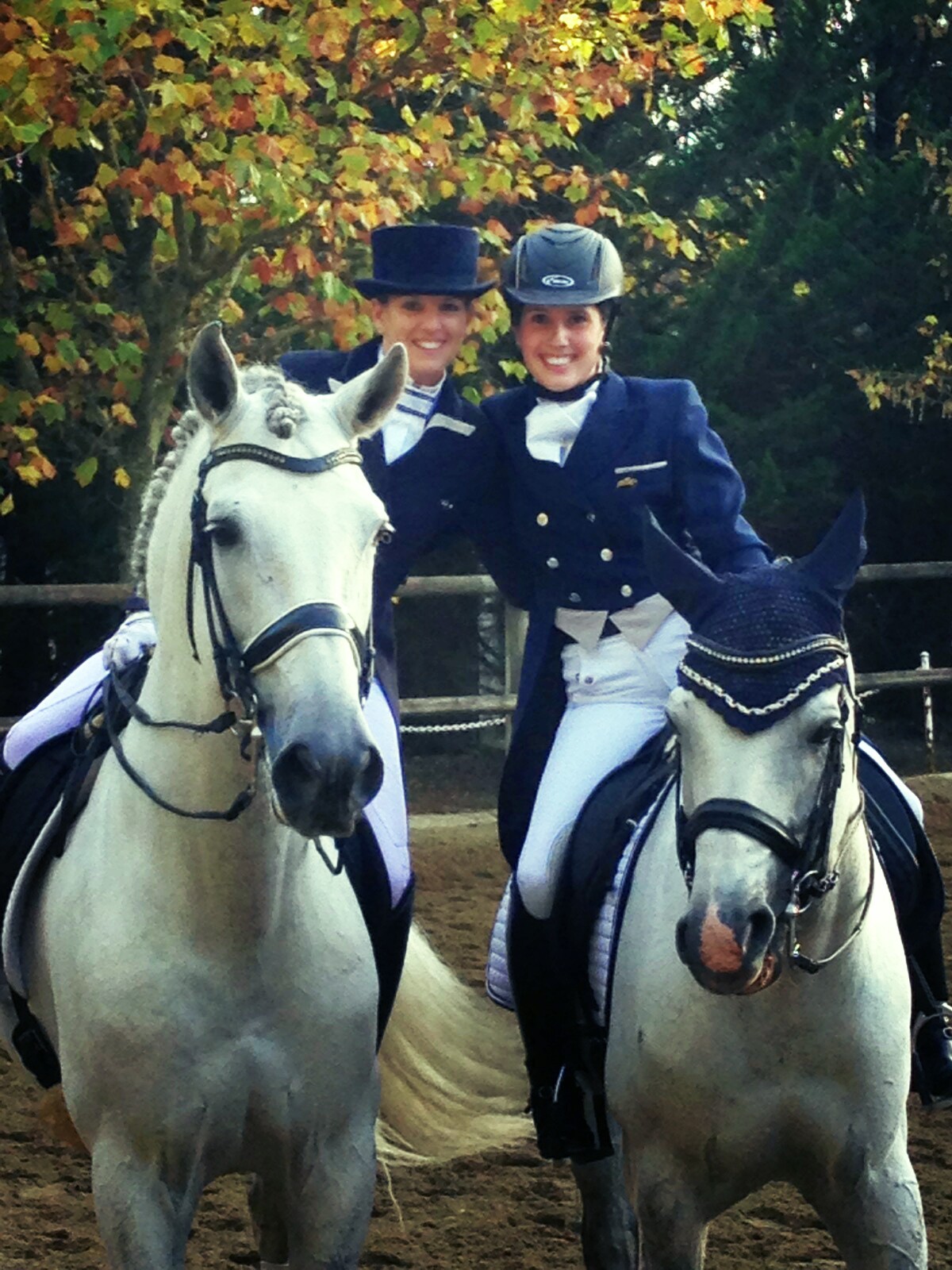 Resultados Finales Campeonato Navarro de Doma Clásica 2015